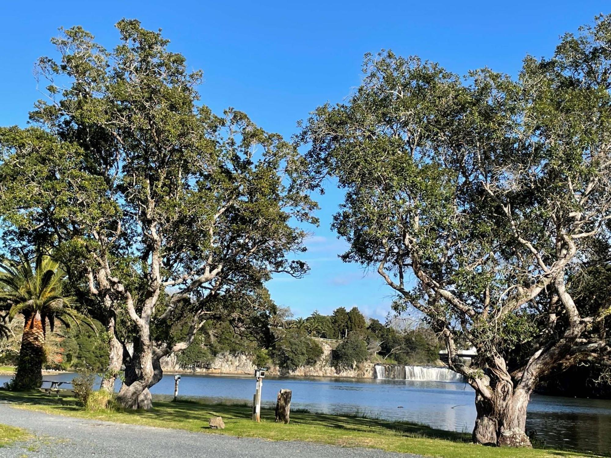 Haruru Falls Motel & Conference Centre Paihia Ngoại thất bức ảnh